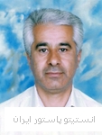 عباس نحوی